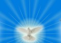 alles, Public Domain, pixabay.com alles, Public Domain, pixabay.com